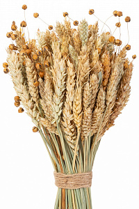Букет из сухих колос. культур (пшеница,лен) h480мм арт.40866 в интернет-магазине Город Мастеров